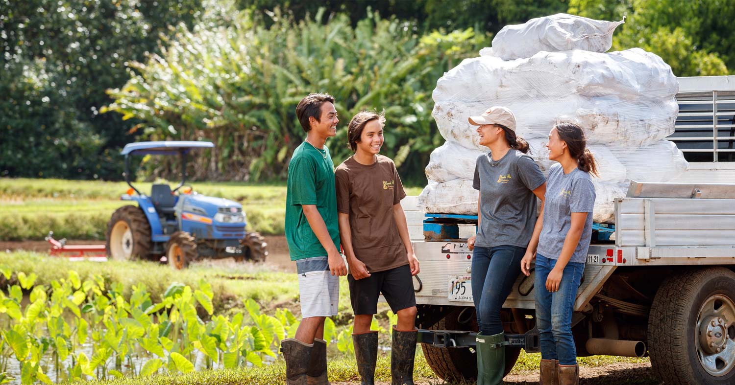Hanalei Taro grown on our Family Farm